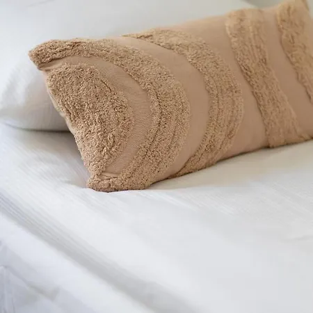 Center Skylines By Renters *